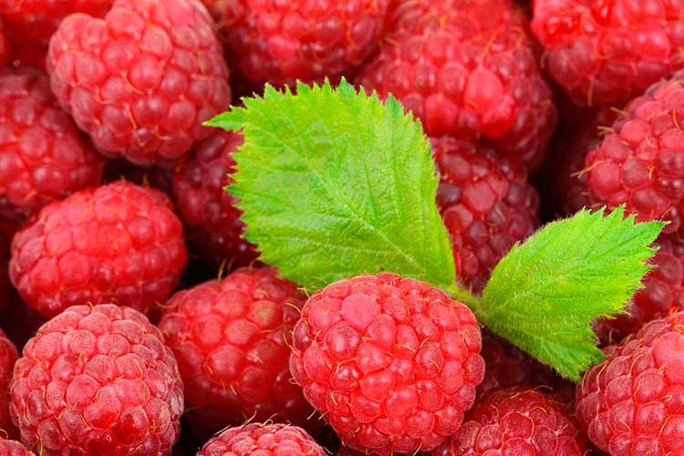 Frutas que ajudam a prevenir a disfunção eréctil